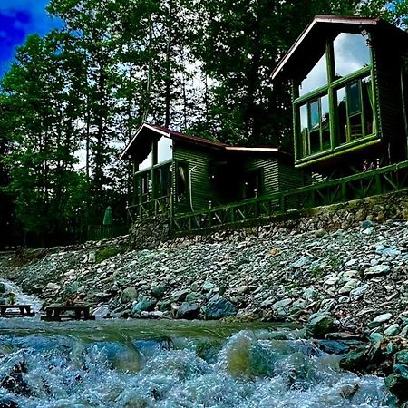 Doga Su Minimal Evler Villa Sapanca Exterior photo