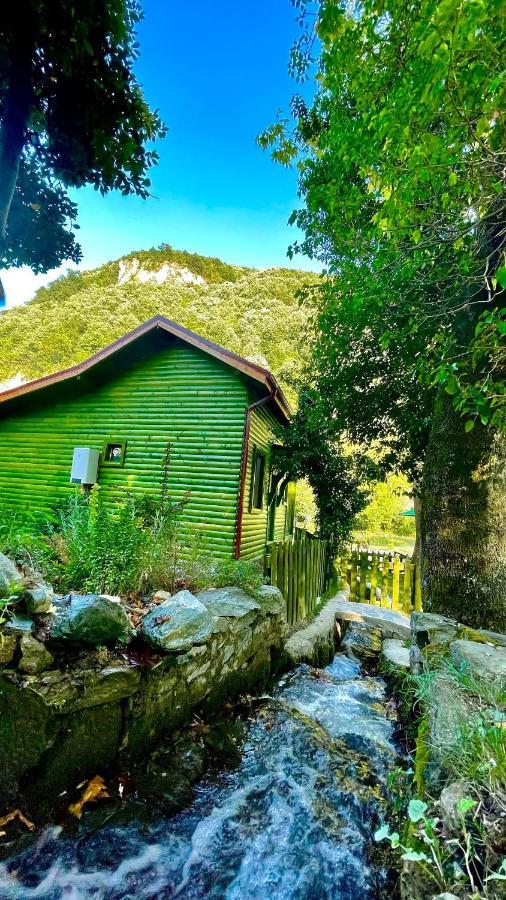 Doga Su Minimal Evler Villa Sapanca Exterior photo